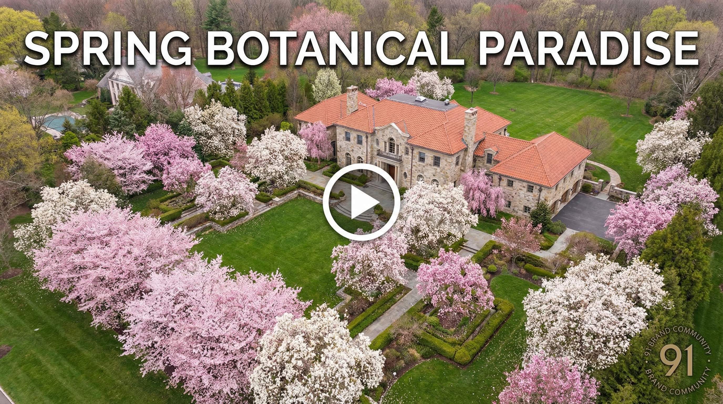 海角网植物视频